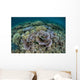 Delicate Corals Grow near Wall Decal Design 1