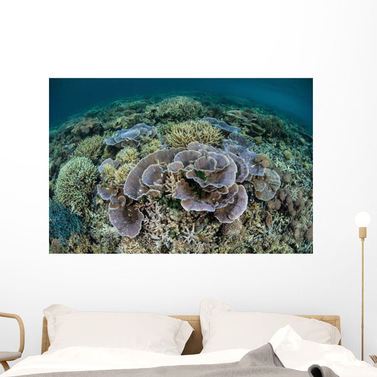 Delicate Corals Grow near Wall Decal Design 1