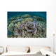 Delicate Corals Grow near Wall Decal Design 1