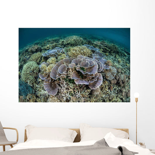Delicate Corals Grow near Wall Decal Design 1