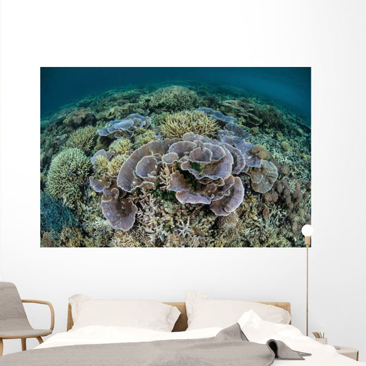 Delicate Corals Grow near Wall Decal Design 1