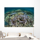 Delicate Corals Grow near Wall Decal Design 1