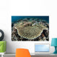 Table Coral Is Encroached Wall Decal
