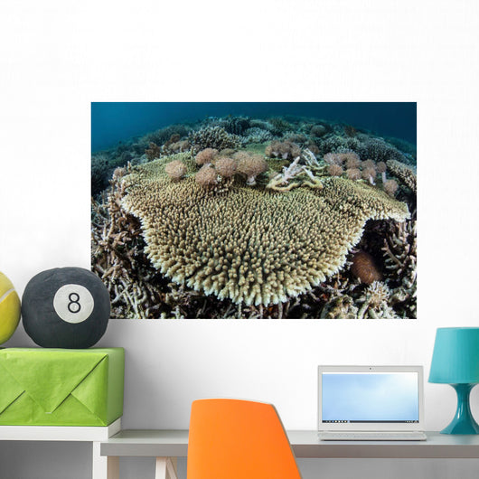 Table Coral Is Encroached Wall Decal