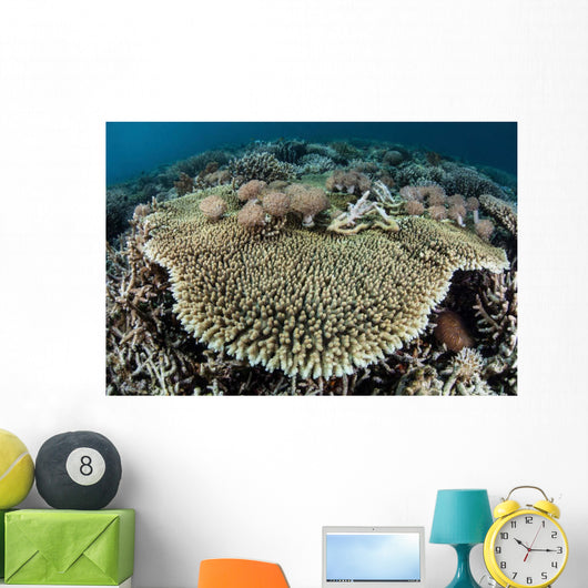 Table Coral Is Encroached Wall Decal