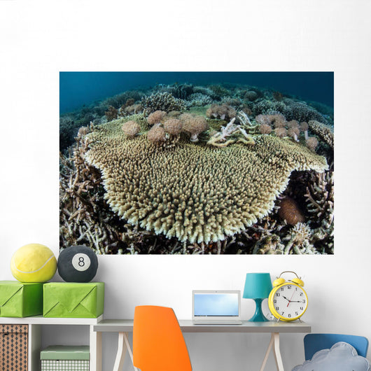 Table Coral Is Encroached Wall Decal