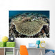 Table Coral Is Encroached Wall Decal