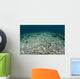 Coral Reef Has Been Wall Decal