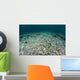 Coral Reef Has Been Wall Decal