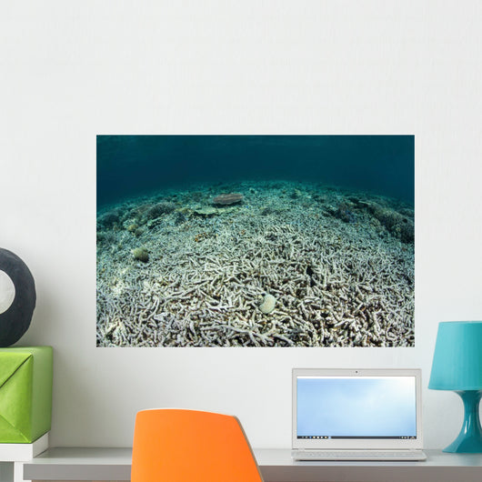 Coral Reef Has Been Wall Decal