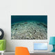 Coral Reef Has Been Wall Decal
