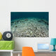 Coral Reef Has Been Wall Decal