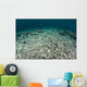 Coral Reef Has Been Wall Decal