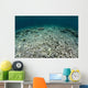 Coral Reef Has Been Wall Decal