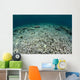 Coral Reef Has Been Wall Decal
