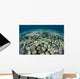 Mushroom and Hard Corals Wall Decal