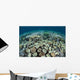 Mushroom and Hard Corals Wall Decal