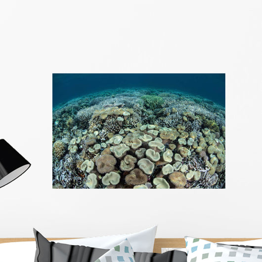 Mushroom and Hard Corals Wall Decal