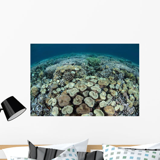 Mushroom and Hard Corals Wall Decal