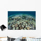 Mushroom and Hard Corals Wall Decal