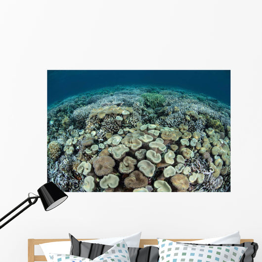 Mushroom and Hard Corals Wall Decal