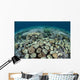 Mushroom and Hard Corals Wall Decal