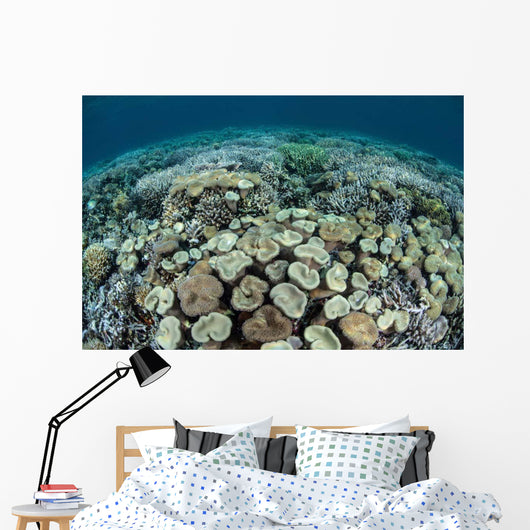 Mushroom and Hard Corals Wall Decal