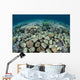 Mushroom and Hard Corals Wall Decal