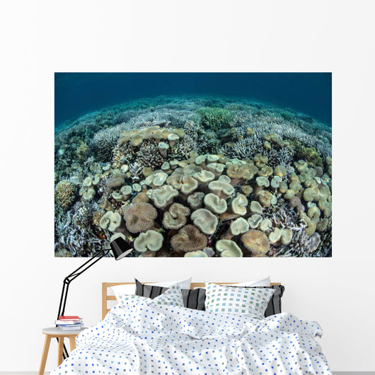 Mushroom and Hard Corals Wall Decal