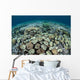 Mushroom and Hard Corals Wall Decal