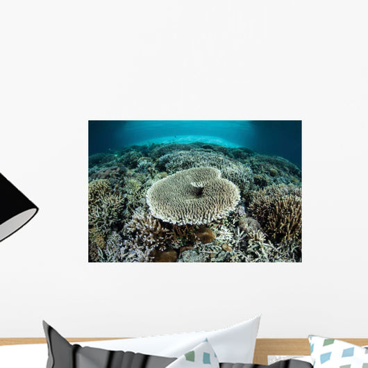 Corals Grow Shallow Reef Wall Decal Design 3