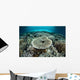 Corals Grow Shallow Reef Wall Decal Design 3
