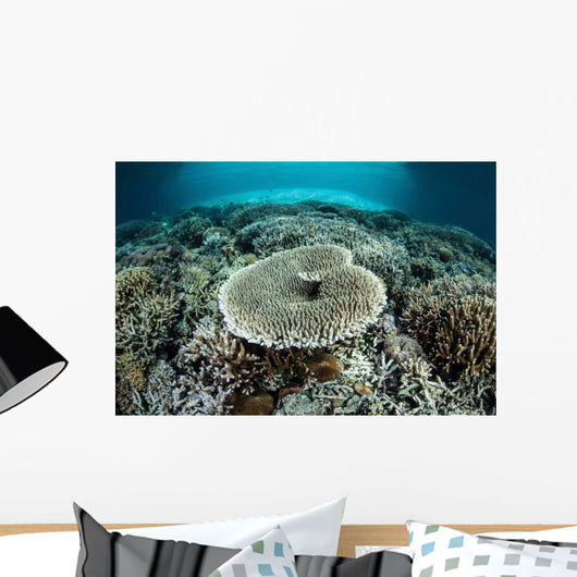 Corals Grow Shallow Reef Wall Decal Design 3