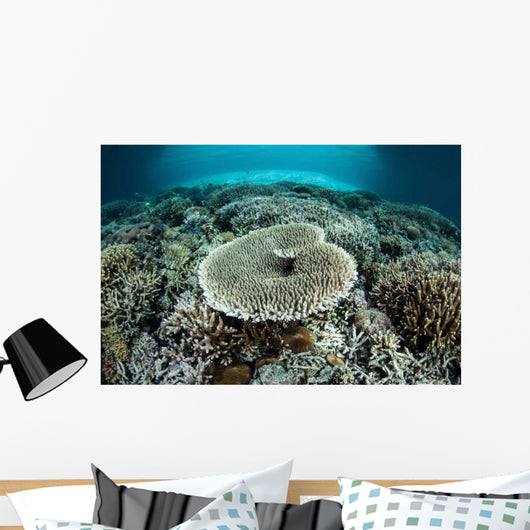 Corals Grow Shallow Reef Wall Decal Design 3