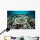 Corals Grow Shallow Reef Wall Decal Design 3