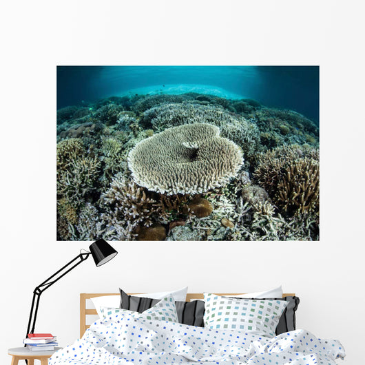 Corals Grow Shallow Reef Wall Decal Design 3