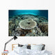 Corals Grow Shallow Reef Wall Decal Design 3