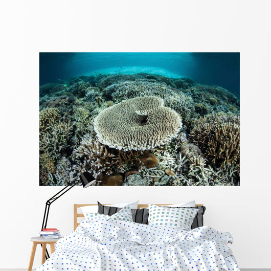 Corals Grow Shallow Reef Wall Decal Design 3