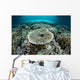 Corals Grow Shallow Reef Wall Decal Design 3