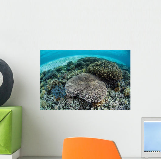 Reef-building Corals near Alor Wall Decal Design 4
