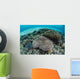 Reef-building Corals near Alor Wall Decal Design 4