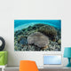 Reef-building Corals near Alor Wall Decal Design 4