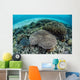Reef-building Corals near Alor Wall Decal Design 4