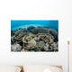 Delicate Reef-building Corals Alor Wall Decal