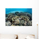 Delicate Reef-building Corals Alor Wall Decal