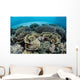 Delicate Reef-building Corals Alor Wall Decal