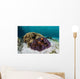 False Clownfish Swim near Wall Decal