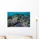 Colorful Corals near Island Wall Decal