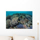 Colorful Corals near Island Wall Decal