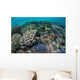 Colorful Corals near Island Wall Decal
